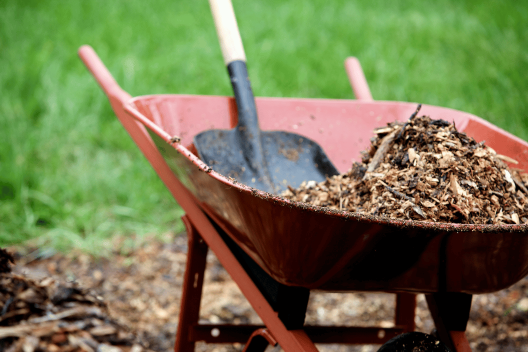 Your Fall Cleanup Guide for Fairfield and Southport: Leaves, Yard Debris, and Seasonal Waste